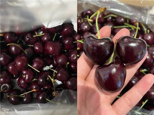 一场跨越两万公里的“甜蜜”:京东车厘子首次配送进新疆,3J级5斤装仅208元